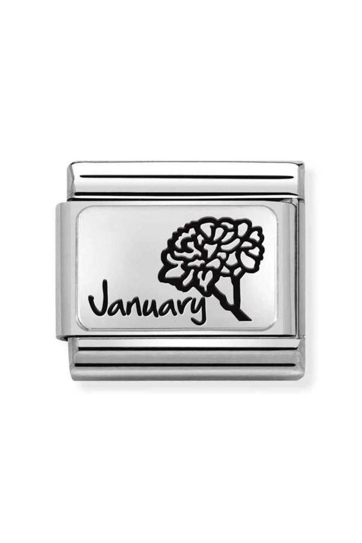 Composable Classic Month Flower Plates (ıc) Steel And 925 Silver (13_january)