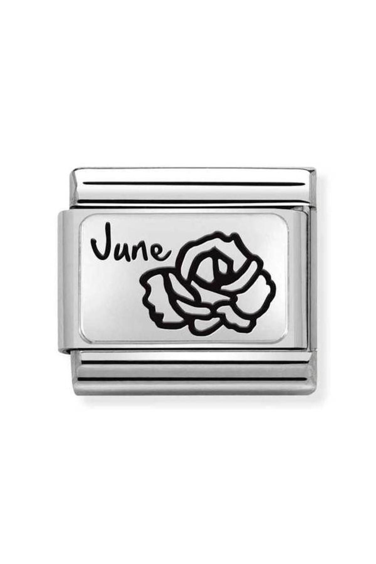 Composable Classic Month Flower Plates (ıc) Steel And 925 Silver (18_june)