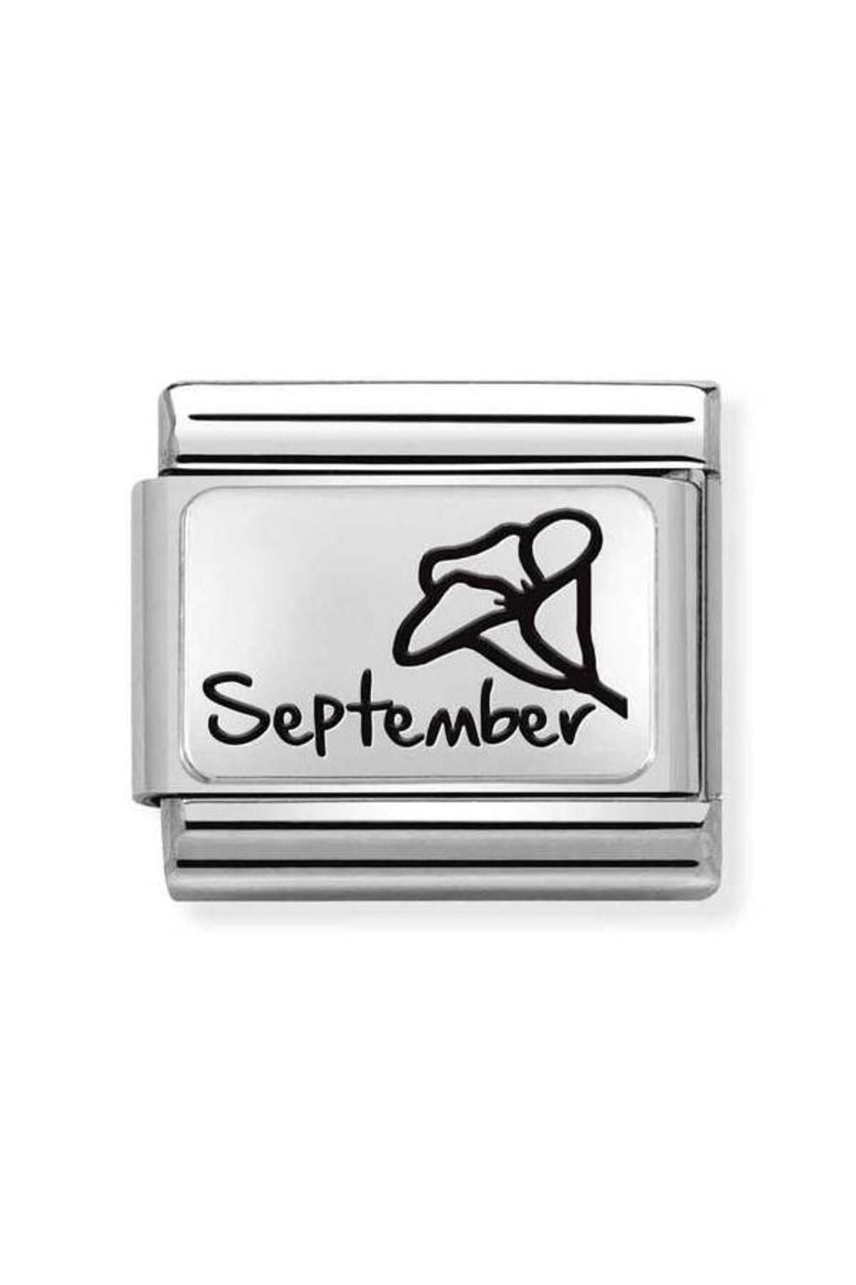 Composable Classic Month Flower Plates (ıc) Steel And 925 Silver (21_september)