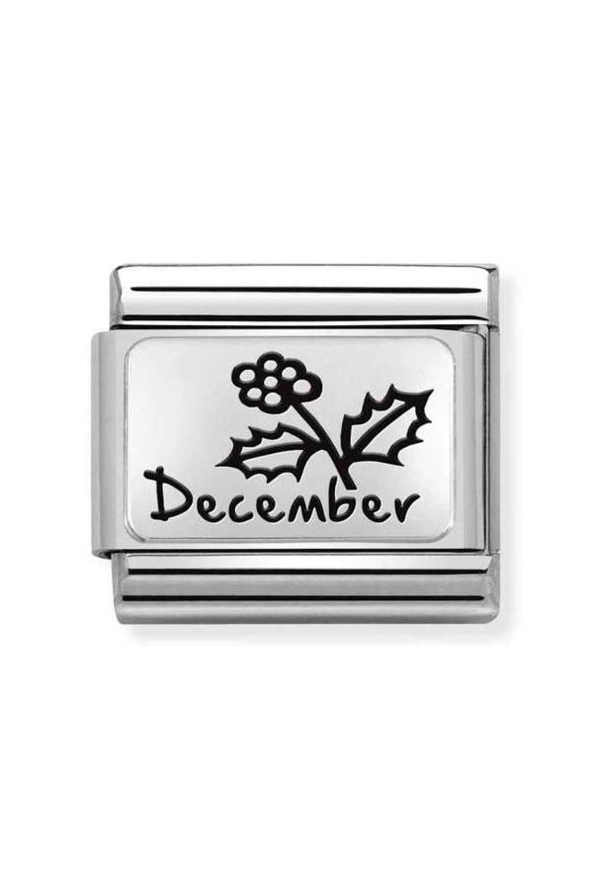 Composable Classic Month Flower Plates (ıc) Steel And 925 Silver (24_december)