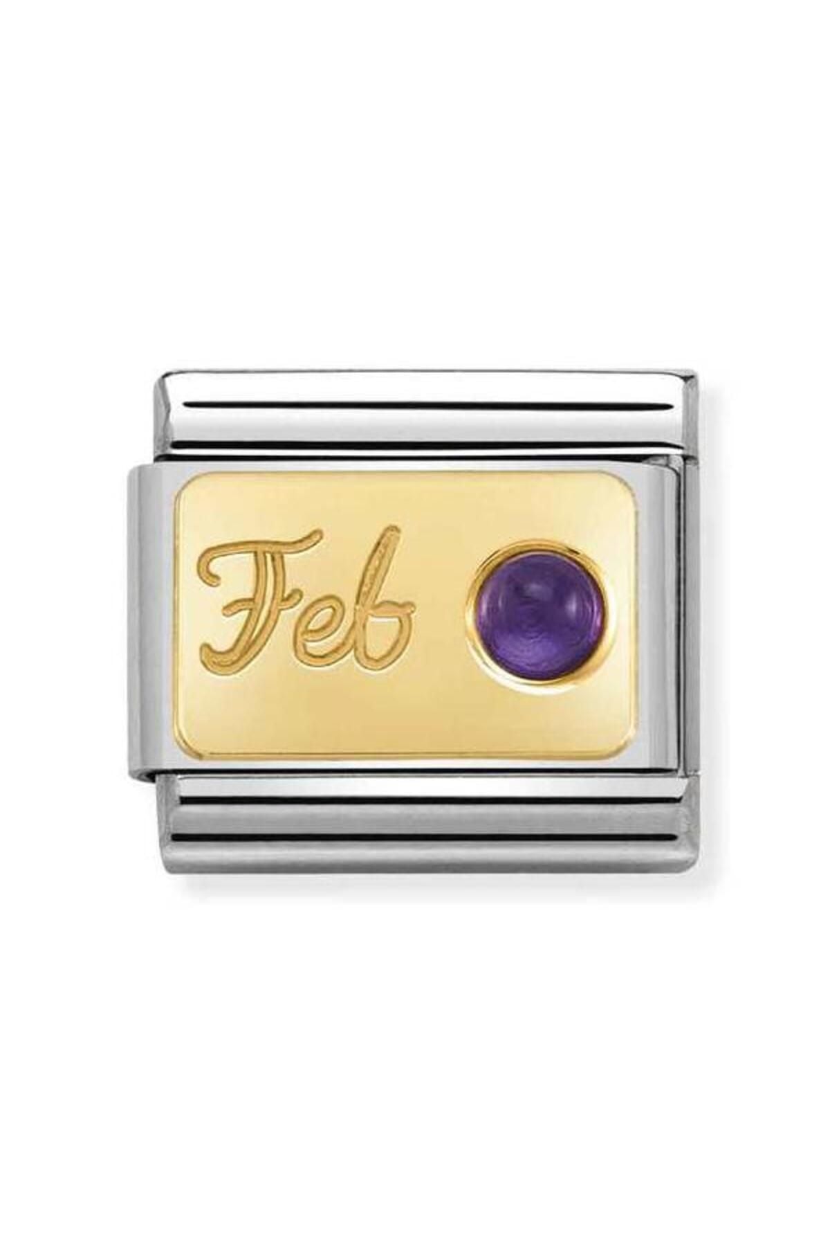 Composable Classic Month Stone In Steel, Stones And 750 Gold 02 february Amethyst