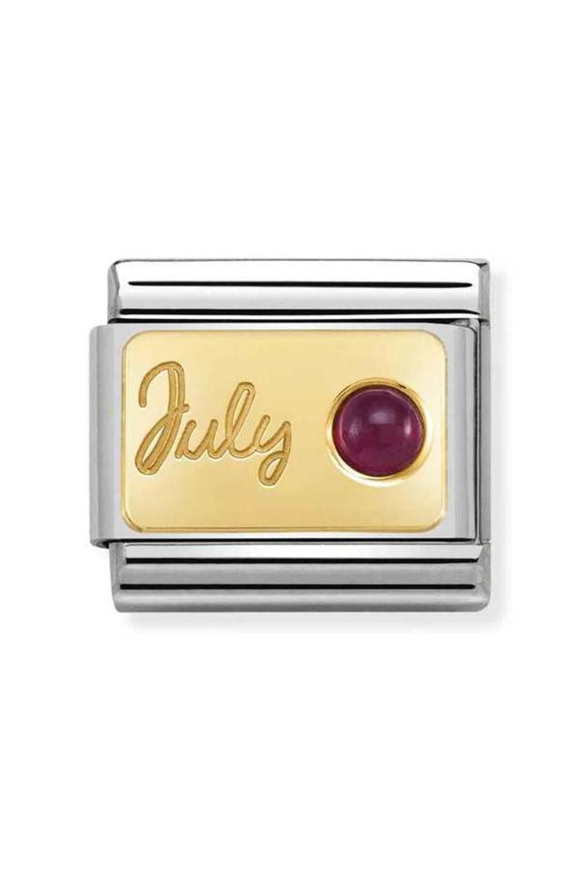 Composable Classic Month Stone In Steel, Stones And 750 Gold (07_july Ruby)
