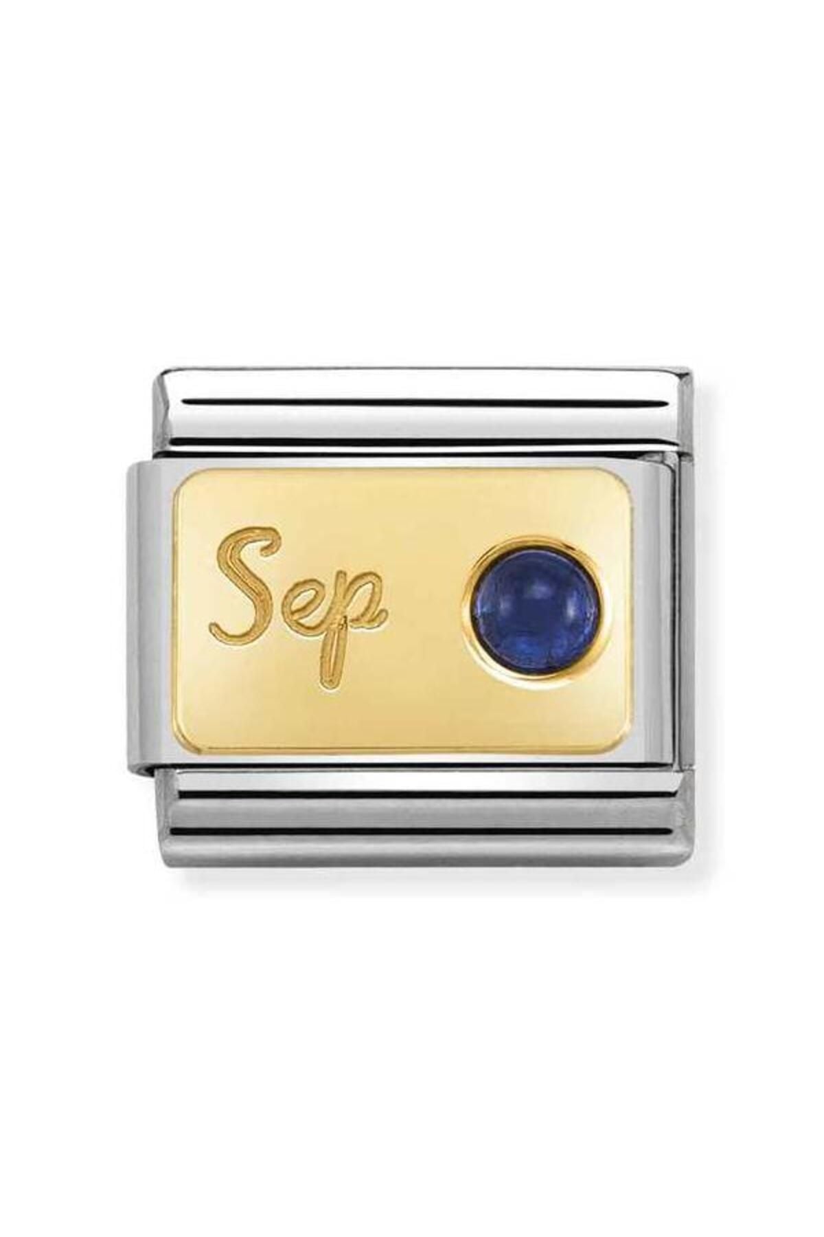 Composable Classic Month Stone In Steel, Stones And 750 Gold (09_september Sapphıre)