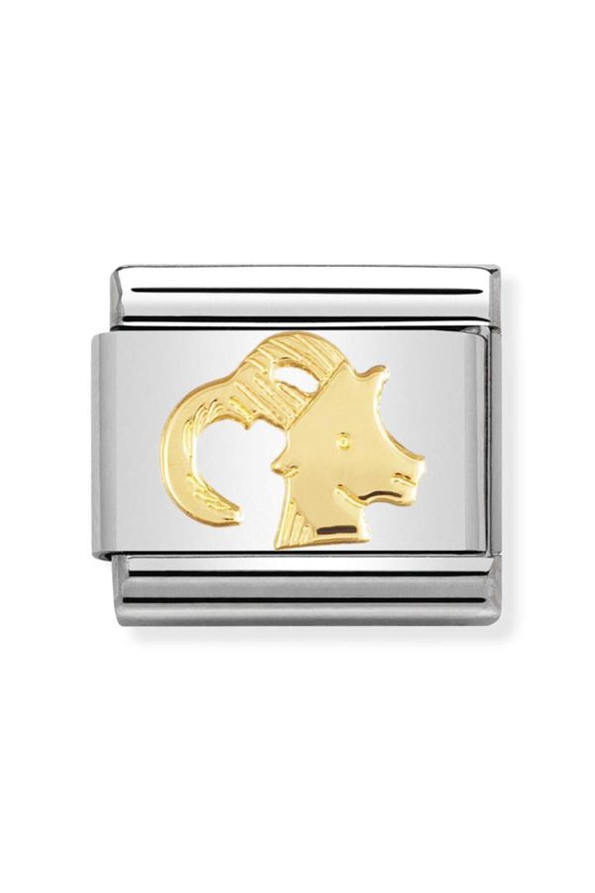 Composable Classic Zodıac In Stainless Steel With 18k Gold (10_capricorn)