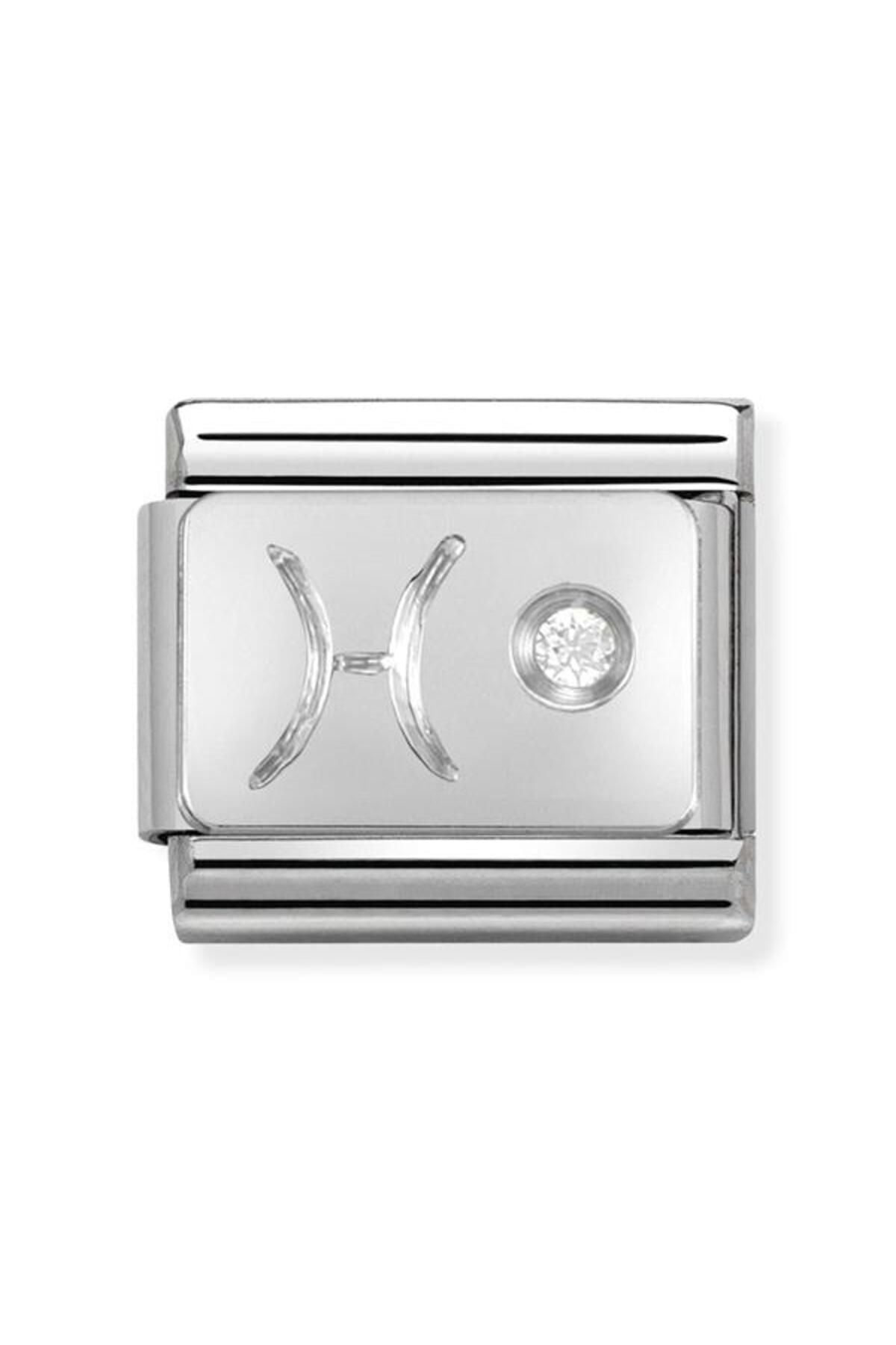 Composable Classic Zodıac Stainless Steel, Cub, Zirc And 925 Silver (12_pisces)