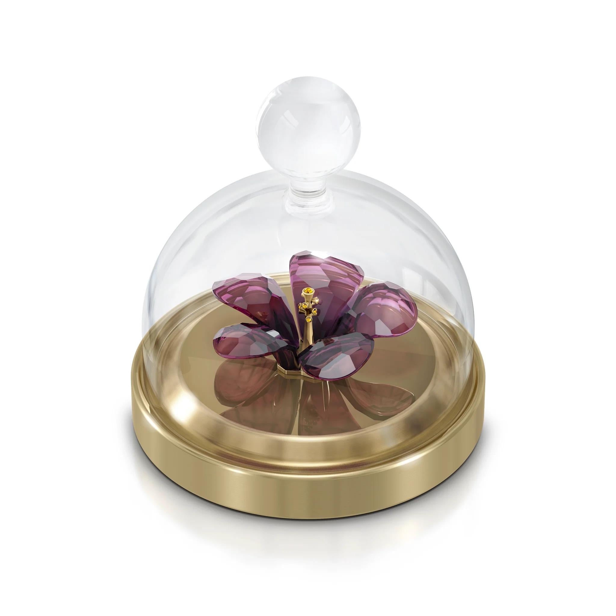 Garden Tales Amber Çiçeği Cam Fanus, Küçük Boy - SWRK05619224