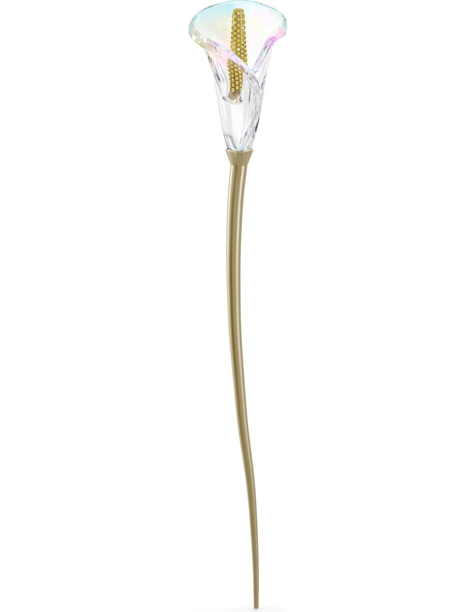 GARDEN TALES: CALLA LILY