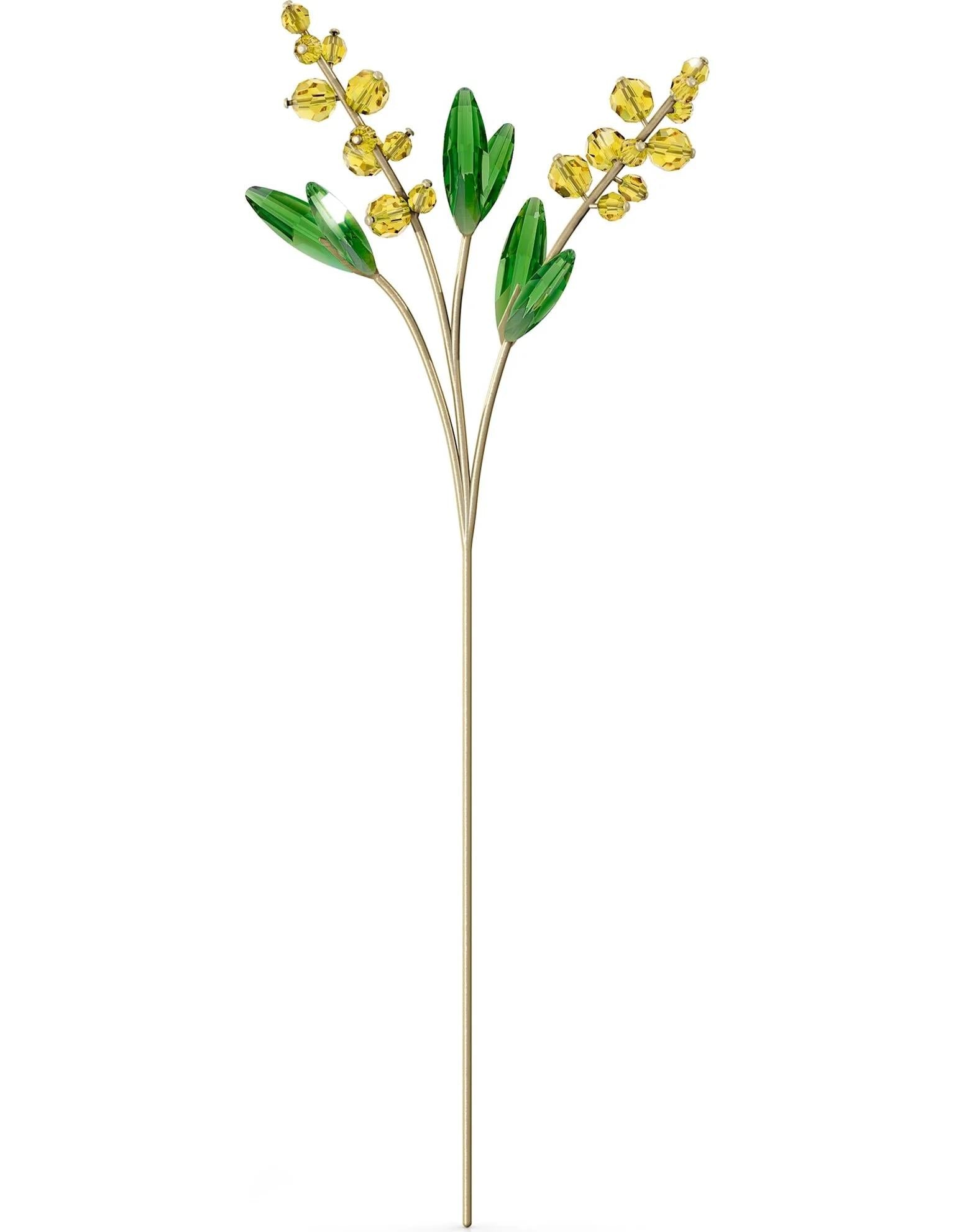 GARDEN TALES: MIMOSA SWRK05619230