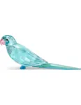 jungle-beats-blue-parakeet-31153.jpg
