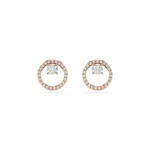 swarovski-constella-pe-stud-cz-white-ros-5692263-34515.jpg